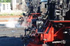 Narrow gauge steam trains Hartz-Mountains - Robert Cannon